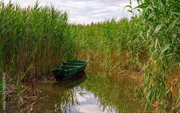 Fototapeta A wooden green boat moored by the shore. Around the boat you can see the dense reeds that surround it on all sides. Elements of the surroundings are reflected on the surface of the water