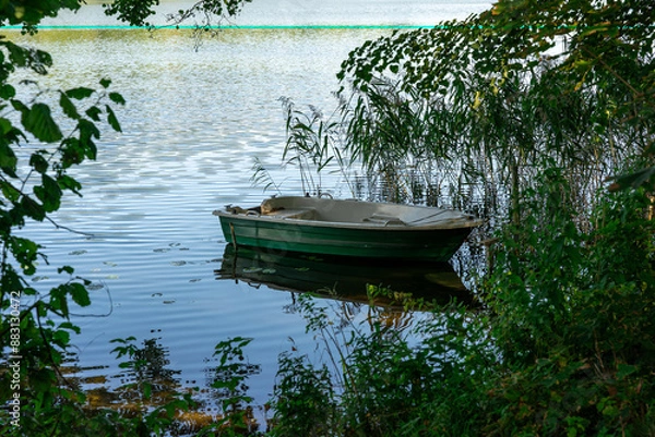 Fototapeta Green boat moored on the shore, in the shade of the forest and surrounded by aquatic vegetation
