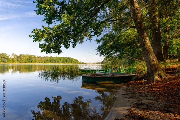 Fototapeta Landscape with a small boat moored by a large leafy tree, casting shadows on it and the calm surface of a lake in the middle of the forest