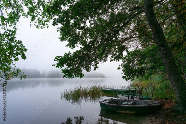 Fototapeta Landscape with a small boat anchored by a large deciduous tree, standing over the calm surface of a lake in the middle of a forest during a foggy morning