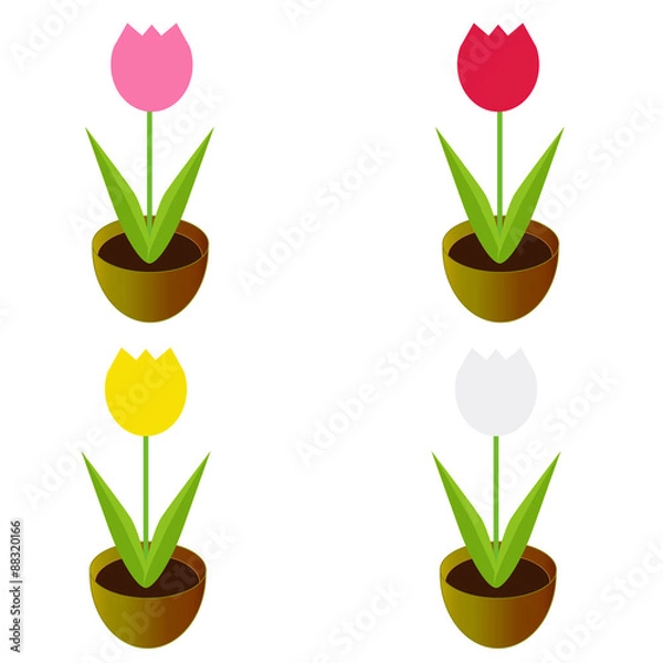 Obraz チューリップ(鉢植え)