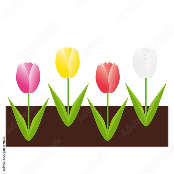 Obraz チューリップ畑