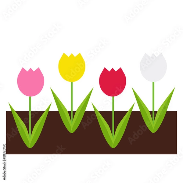 Obraz チューリップ畑