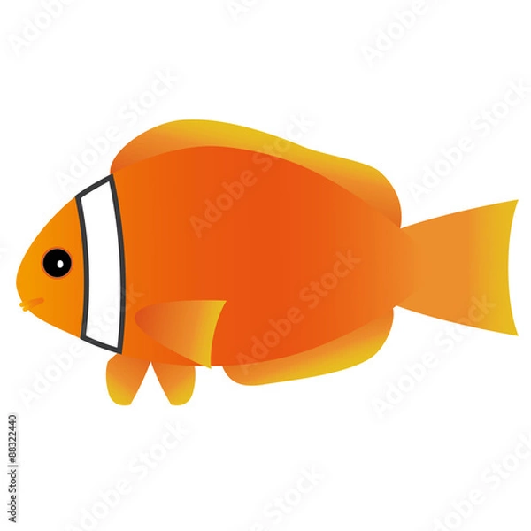 Obraz ハマクマノミ