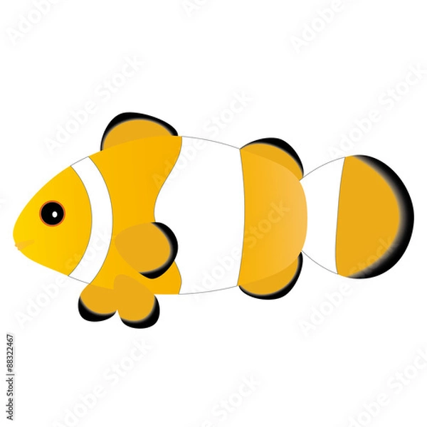 Obraz カクレクマノミ