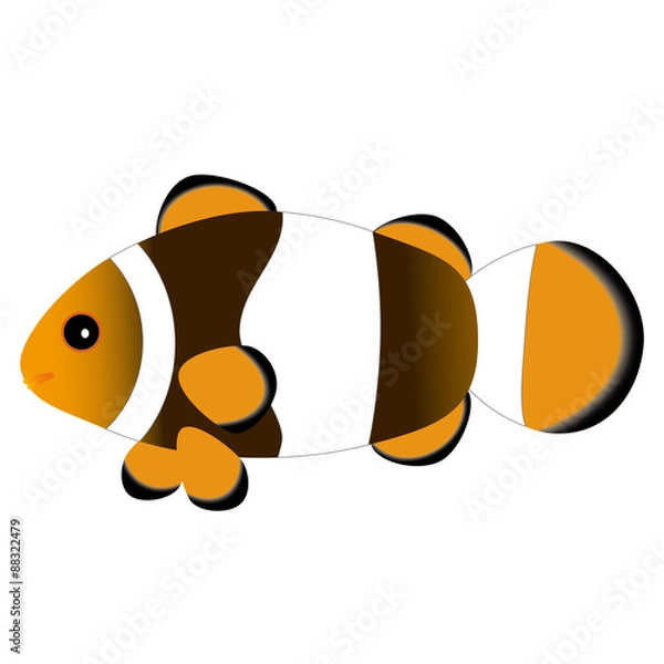 Obraz カクレクマノミ