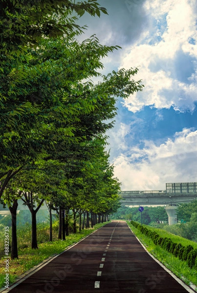 Fototapeta 가로수길