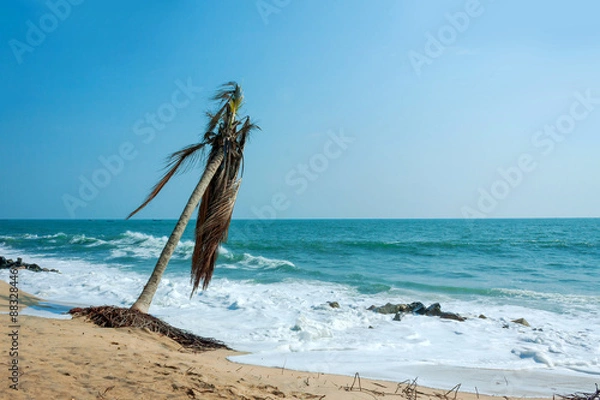 Obraz Tropical Beach