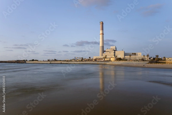 Obraz plant at sunset