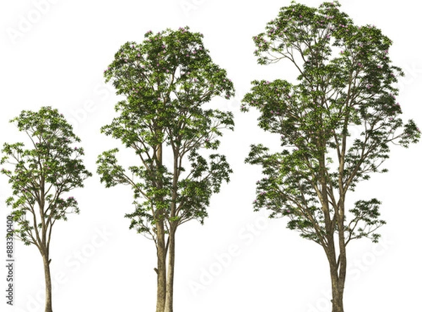 Fototapeta trees rhotodendron hq arch viz cut out plants