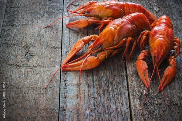 Obraz Boiled crayfish on a wooden background.