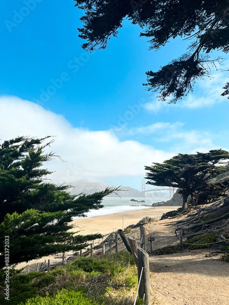 Fototapeta Golden Gate bridge in San Francisco partially covered in clouds and fog. Foggy day. Empty benches under the cypress tree. American iconic landmark.