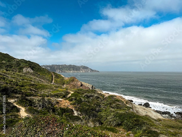 Fototapeta California coast with views on the waters of the bay on the bright day. Bushes and flowers of the West Coast nature in front of the lightly cloud skies. Waves of the Pacific Ocean waters of the bay.