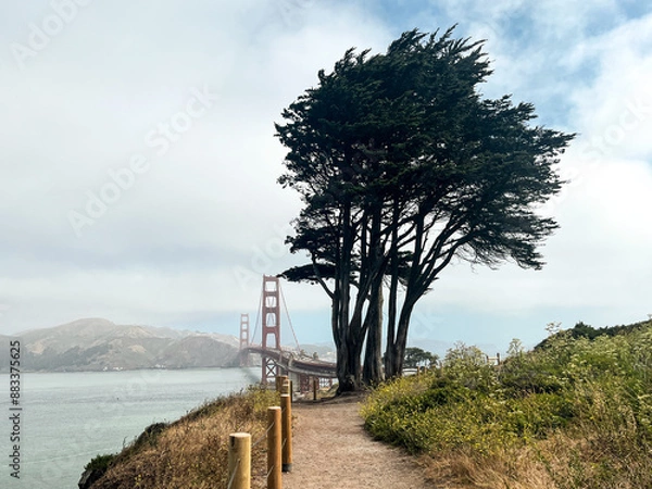 Fototapeta Coastal view of the Golden Gate bridge in San Francisco. American iconic landmark. Cliffs and grass frame the picture. Waves in the bay water. Light fog.