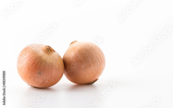 Obraz onion isolated on white background