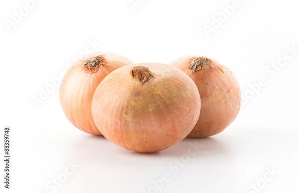 Obraz onion isolated on white background