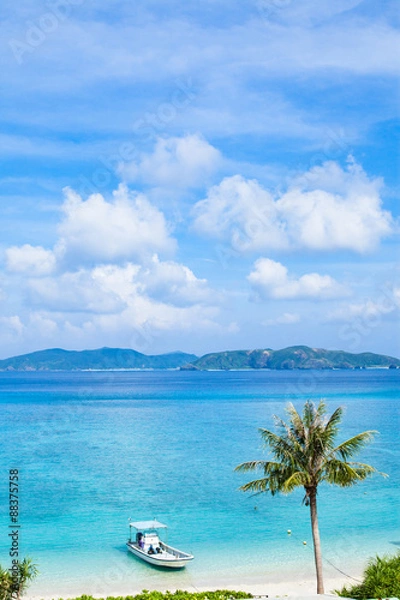 Obraz Tropical beach with Coconut palm tree, Okinawa, Japan