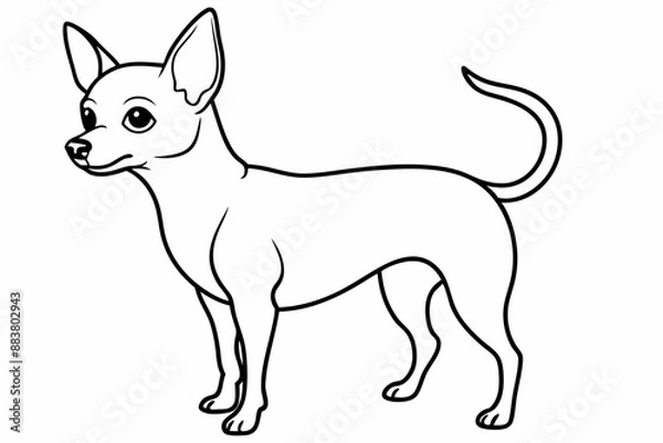 Fototapeta Chihuahua Dog breed line art vector Isolated on white background 