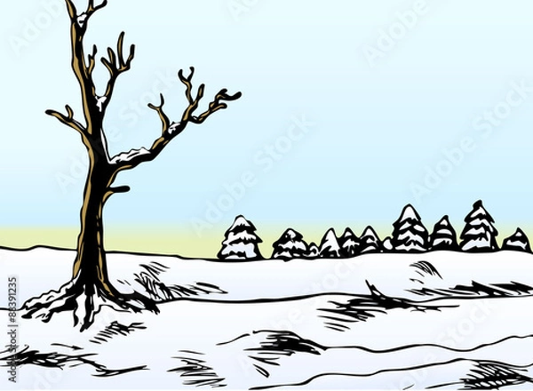 Obraz Colored winter snow landscape vector image