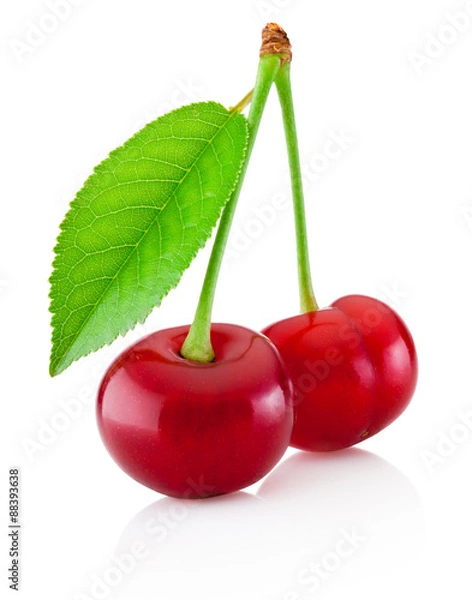 Fototapeta Two ripe cherries with leaf isolated on a white background