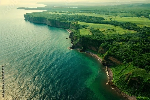 Fototapeta Emerald Coastline: An Aerial View of Lush Coastal Cliffs