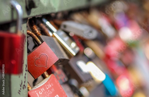 Fototapeta OLYMPUS DIGITAL CAMERA