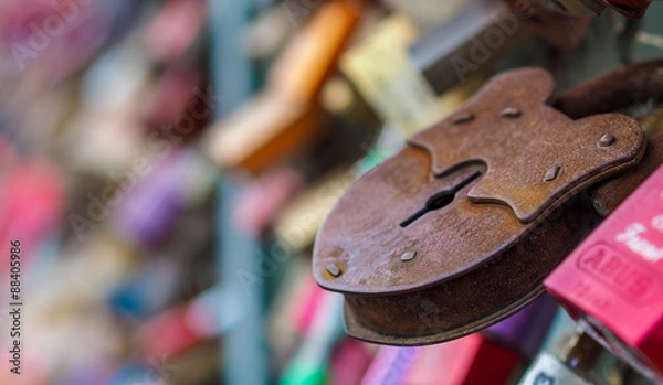 Fototapeta OLYMPUS DIGITAL CAMERA