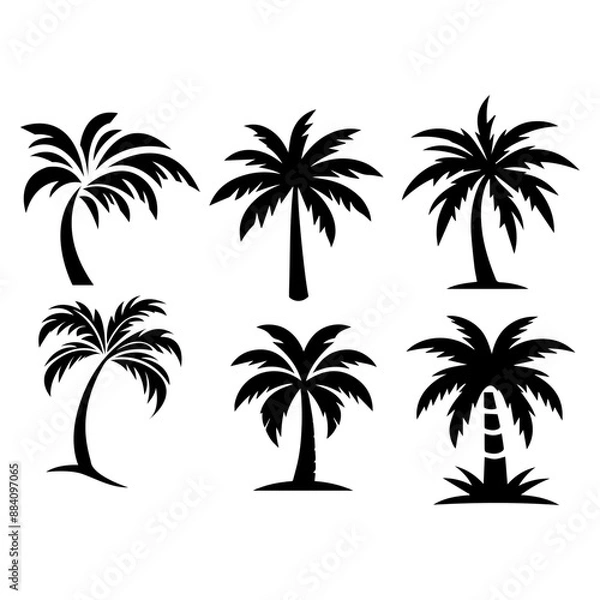 Obraz Black Palm Silhouettes Tropical Trees Shadows. Vector