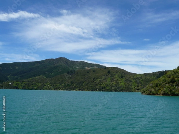 Fototapeta Bootstour durch die Marlborough Sounds, Südinsel  Neuseeland
