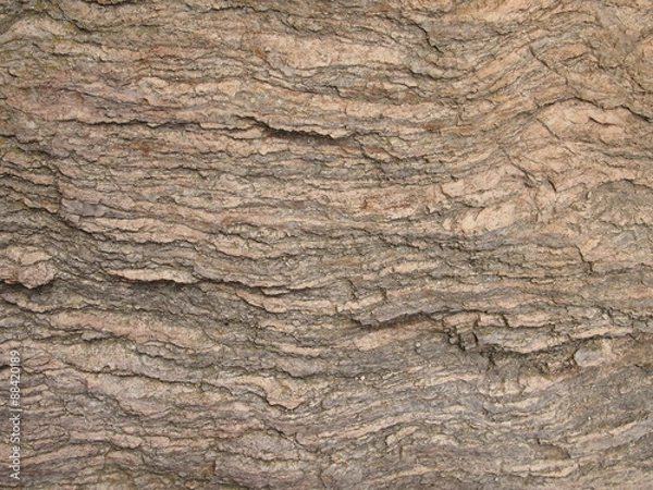 Fototapeta OLYMPUS DIGITAL CAMERA