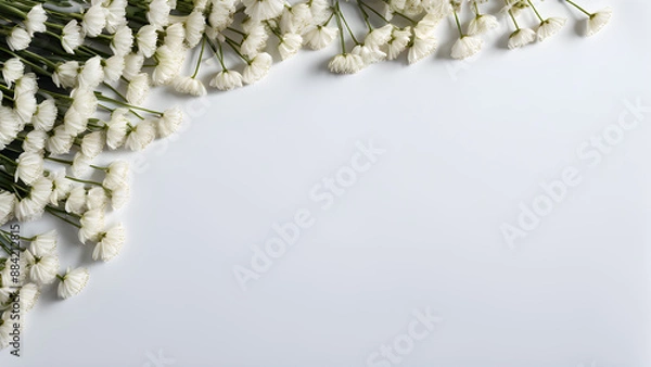 Fototapeta Lily of the valley flowers on white background. Flat lay, top view