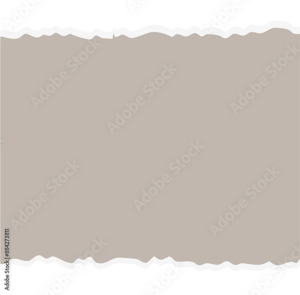 Fototapeta Torn Paper note vector 