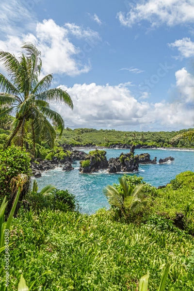 Fototapeta Waianapanapa State Park, home to a black beach, a popular destination on the Road to Hana on Maui, Hawaii