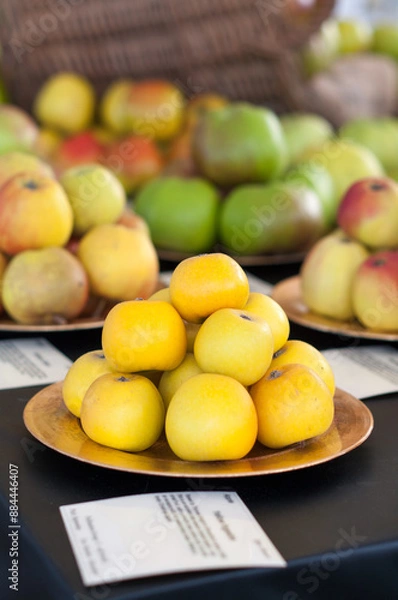 Fototapeta Yellow Apples on show