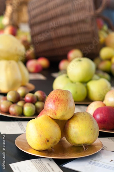Fototapeta apples and pears