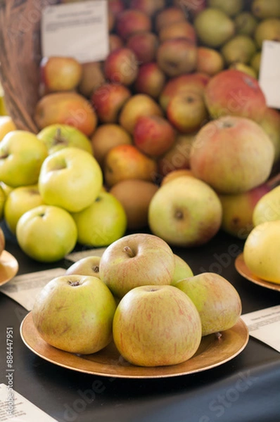 Obraz apples in a bowl