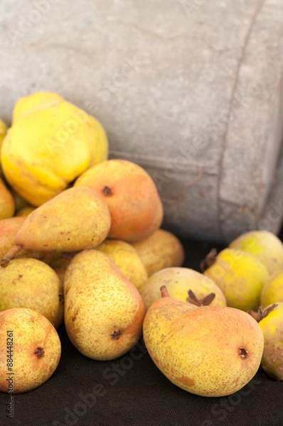 Fototapeta pears in a basket