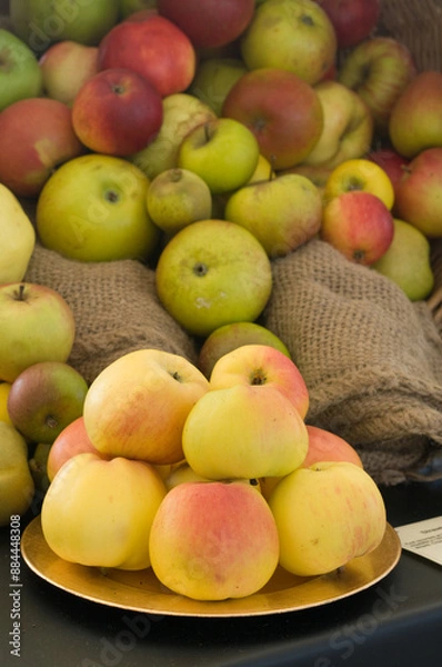 Obraz apples and pears