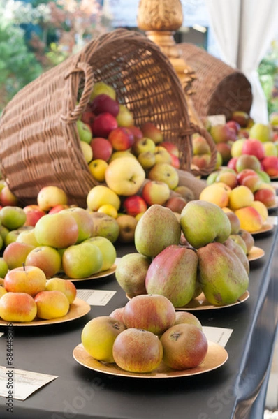 Obraz fruits and vegetables