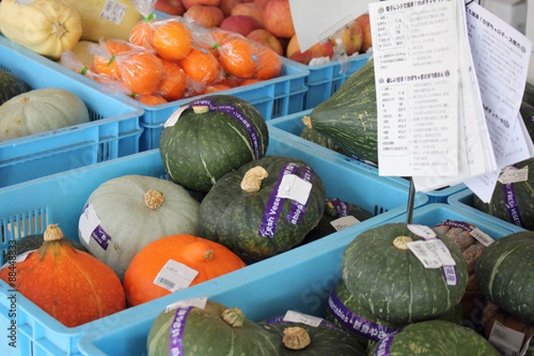 Obraz 色々な種類のカボチャのかご売り場