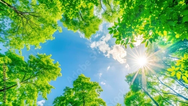 Fototapeta Ecology, Environment , Eco, Tree , Natural, Globe