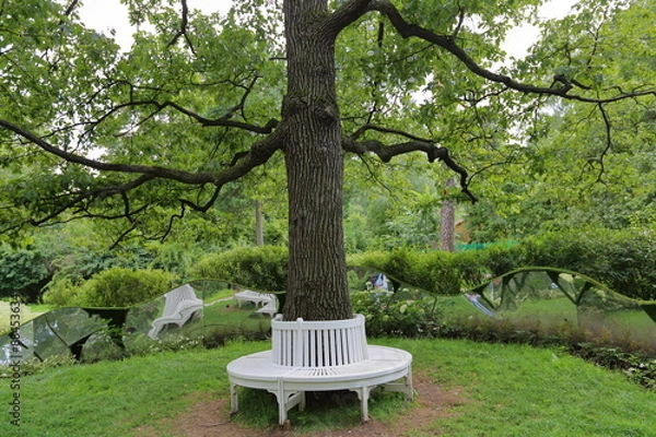 Fototapeta The idea of the location of the plastic benches around a tree in the garden or in the park