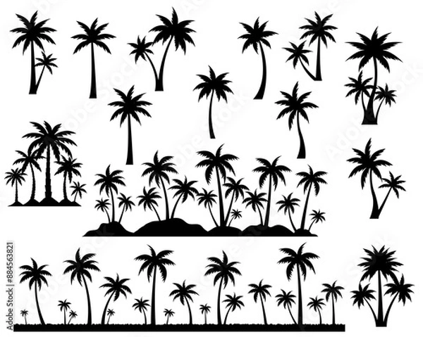Obraz Palm Tree Big Set With Isolated White Background