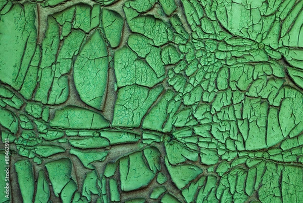 Obraz Texture - old paint