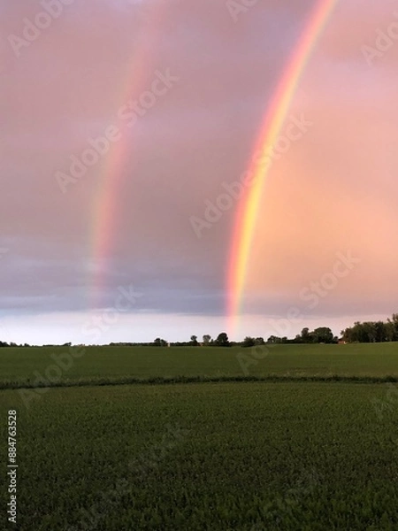 Obraz rainbow over the field