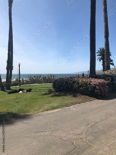 Obraz path in the park