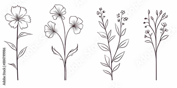 Fototapeta Continuous line drawing set of flowers