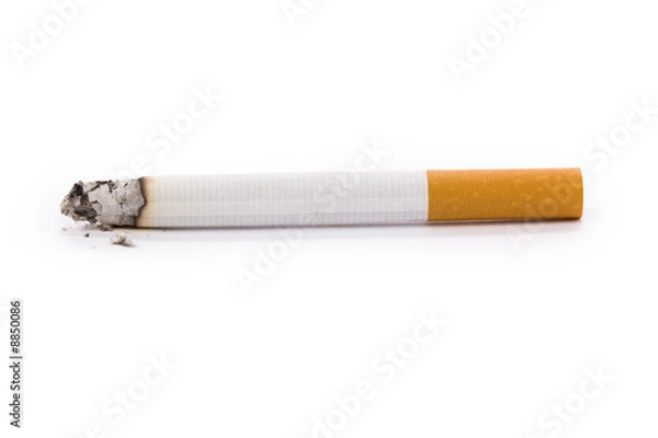 Fototapeta A Cigarette with white background