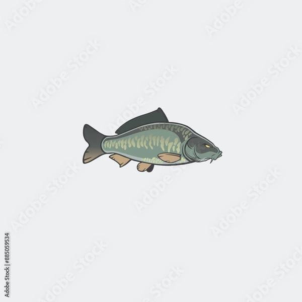 Obraz mirror carp color