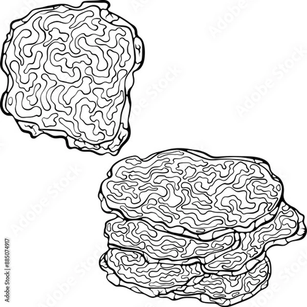 Fototapeta Sliced pieces of black French truffle mushroom. Forest autumn edible mushroom. Vector illustration in hand drawn sketch doodle style. Line art graphic isolated on white for coloring book, print